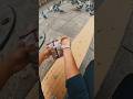 PIGEONS…..🕊️ #youtubeshorts #shorts #viral #pigeon #trend