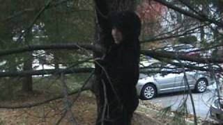 How to Climb A Tree