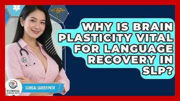Why Is Brain Plasticity Vital For Language Recovery In SLP? - Clinical Career Path