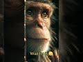 He Was Starving… 🍌😢 | Monkey Shocks Everyone 🧠🔥