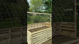 hog panel and pallet greenhouse build