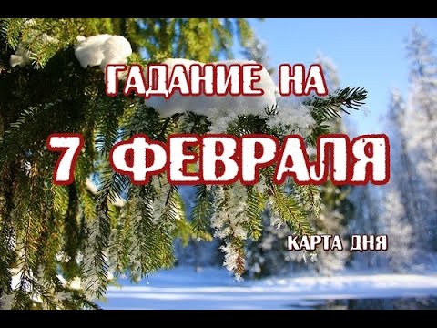 Гадание на 7 февраля 2024 года. Таро Дом с Привидениями.