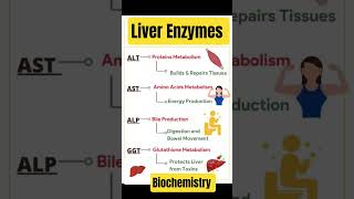 liver enzymes #liverenzymes #liver #alt #ast #ggt #alp #sgpt #sgot #biochemistry #biochem #enzymes