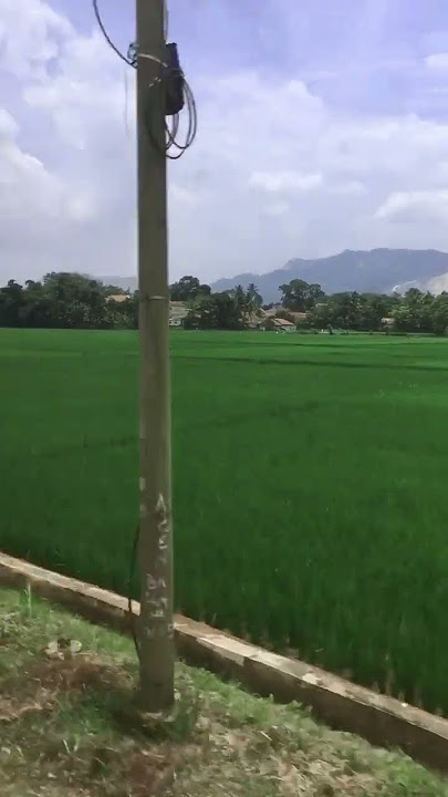 Lestari Alamku