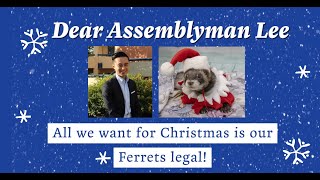 Assemblyman Alex Lee - All we want for Christmas is a #ferret legalization bill! by LegalizeFerrets.org 50 views 3 years ago 57 seconds