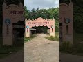 काम में जाते समय आज रोड का फूल नजर