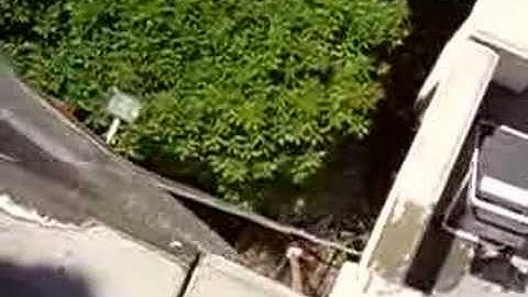 Physics Project: Pascal