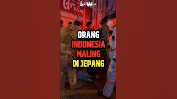 WNI Maling Di Jepang, Pemerintah Jepang Sampe Tegur Neo Japan #shorts