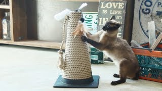 猫用品 DIY・ロープとカラーコーンで猫のつめとぎ DIY【CAINZ DIY STYLE】