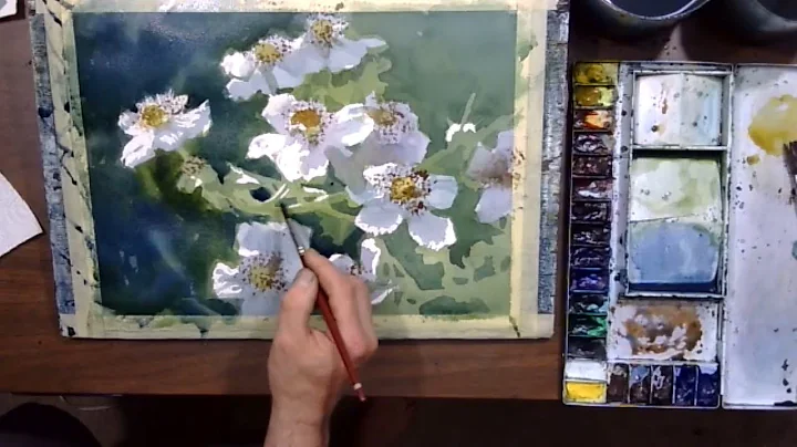 Watercolour Time Lapse: Blackberry Blossoms