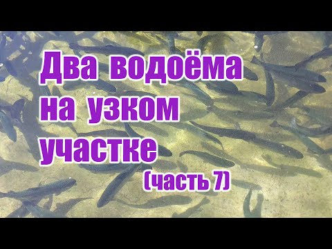 Два водоёма на