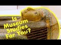 IS A CAREER IN MUSEUMS FOR YOU? MUSEUM STUDIES AND THE GLOBAL MUSEUM |SAN FRANCISCO STATE UNIVERSITY