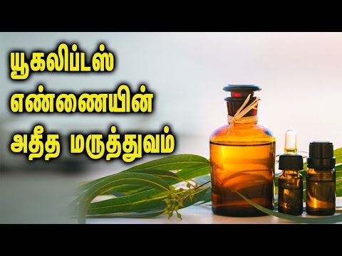 Essential of Eucalyptus oil || யூகலிப்டஸ்  எண்ணையின் 