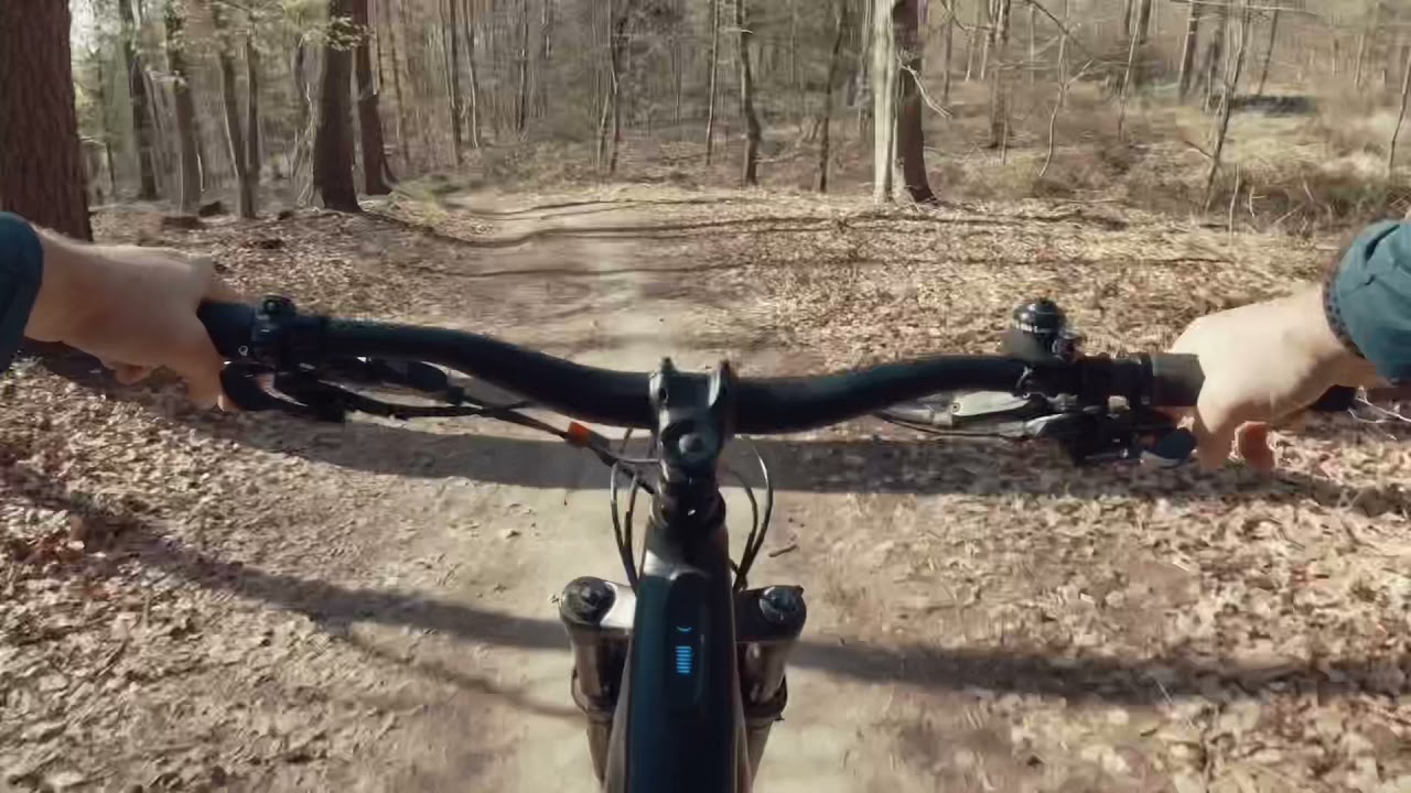 Trail Heidelberg 3 Eichen