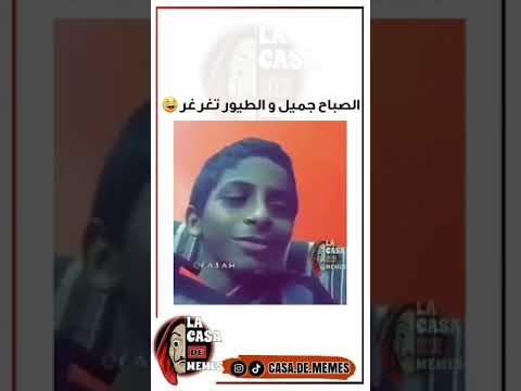 الصباح جميل و الطيور تغرغر
