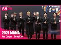 [2021 MAMA] Red Carpet with Stray Kids | Mnet 211211 방송