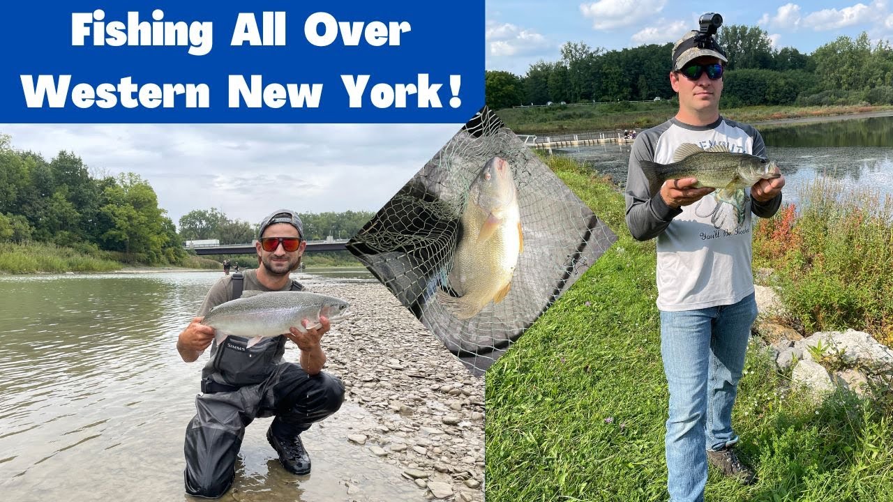 Fishing All over WNY for Salmon Steelhead and more!