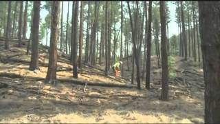 Evening News Webcast: July 3, 2011