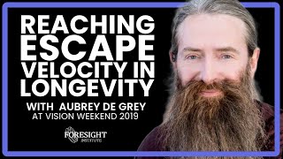 Aubrey de Grey | Reaching Escape Velocity in Longevity for Most Alive Today | VISION WEEKEND 2019