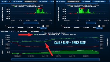 $NVDA & $TSLA Custom Options Data Filter For Day Trading!! | Quant Data