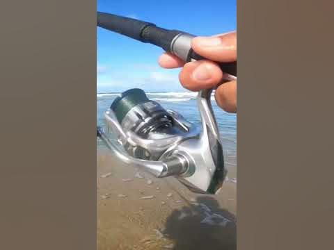 Alone episode #survival catch fish get money 2023#barredsurfperch full