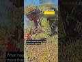 This Russian Soldier Didn T Know About Ukrainian Drone In The Ambush Warinukraine 
