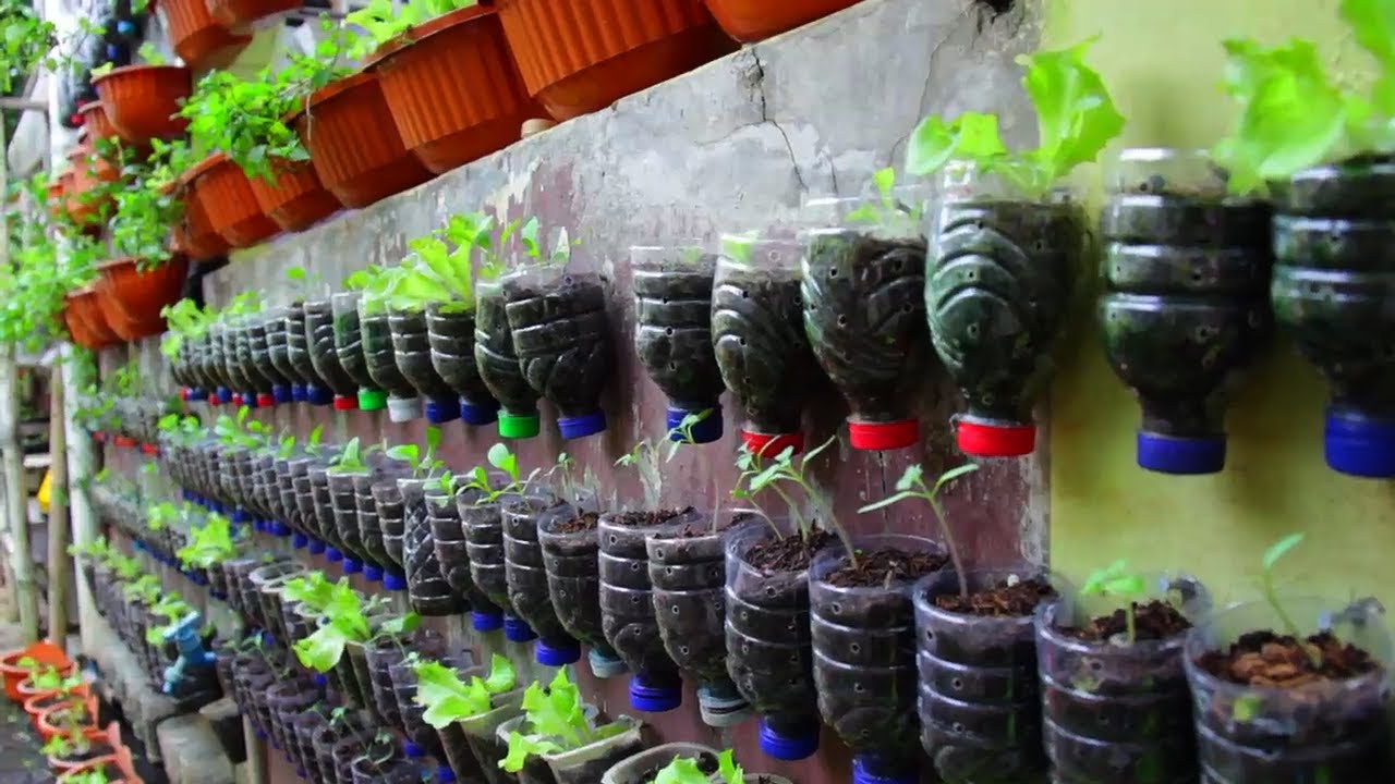 Berkebun DI Lahan Sempit YouTube