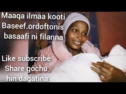Maaqa Ilmaa Kooti Baseef Maaqa Ajaa Iba Wawu Ordooftoni Koos Basaafi Comment Jalaati Baressa