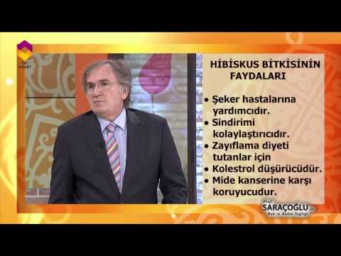 Tıbbi Bitkiler - Hibiskus Bitkisi - DİYANET TV