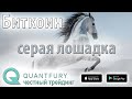 Серая лошадка рынка. Биткоин ещё не покорил максимум 2019 года.  Обновит ли?