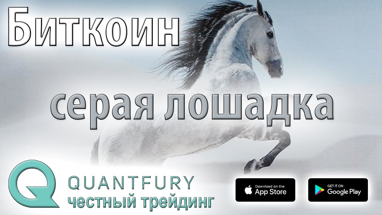 Лошадки минусовка. Серая лошадь Петропавловск-Камчатский. Серая лошадь Петропавловск-Камчатский каталог. Горький серая лошадь. Таблетки серая лошадка.