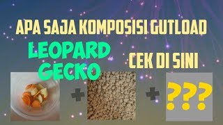 Rahasia Gutload Leopard Gecko