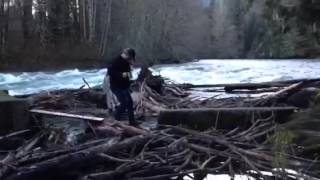 Chemainus River - Forestry Pools