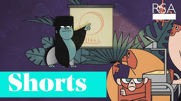 Rebel, Handhaver, Vragensteller, Plichtsgetrouwe: wie ben jij? | Gretchen Rubin