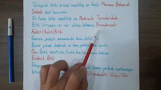 Türkiyenin Bitki Formasyonu