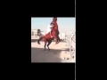 سلام يا لغلباء 