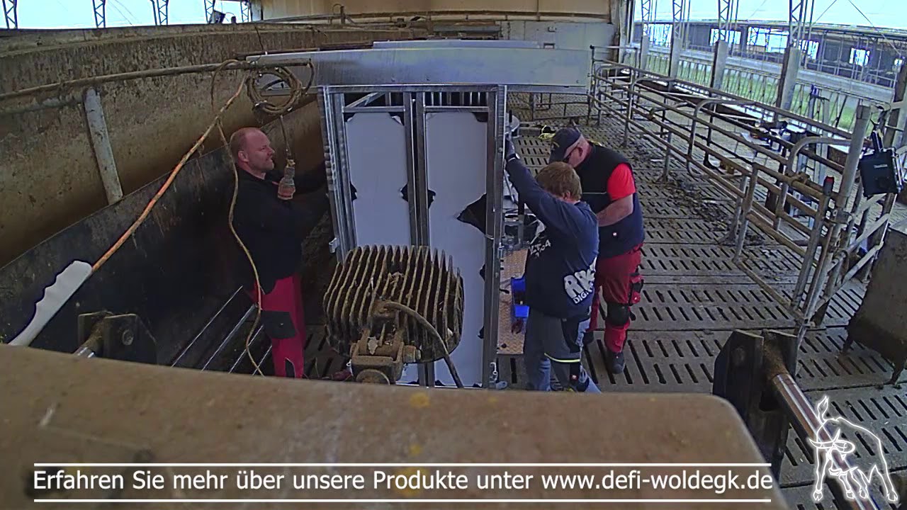 Treibeinrichtung | Fanganlage für Rinder | Treibang | LOSTRE - LOw STREss - Defi Woldegk GmbH