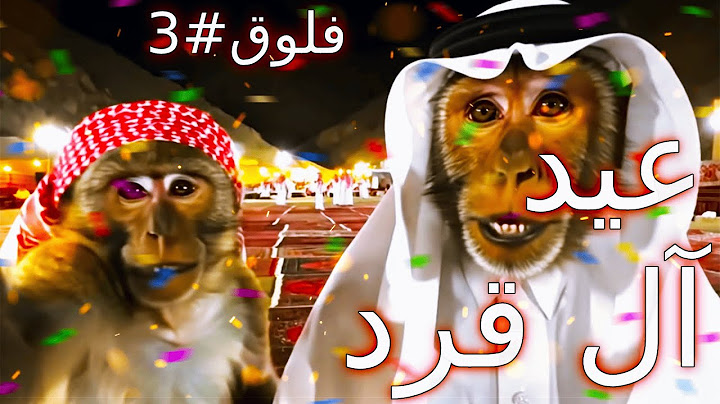 أول فلوق بالعيد قرد الطايف 🐒