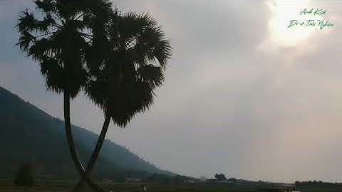 Cây thốt nốt tình yêu