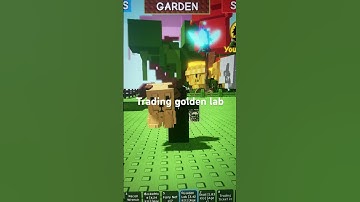 Trading golden lab put user in comments and what your offer