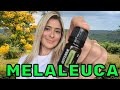 Leo essencial de melaleuca tea tree  principais benefcios rosto pele cabelos