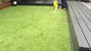Maintain your artificial grass RIGHTGRASSUK