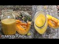 Nice and delicious pumpkin punch recipe u can enjoy