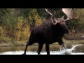 Trailer - JSHA S14 E4 - "The Outfit: Rogue River Outfitters Part 2" Airing January 16th 2017