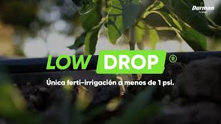 LowDrop, única ferti-irrigación a menos de 1 psi