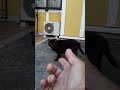 置物になってた黒猫さん。 #cat