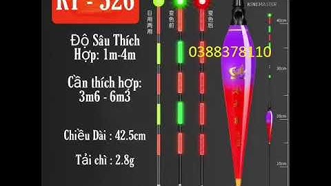 Phao Câu Đài, Phao Câu Đài Đổi Màu Thông Minh, Tự Thay Đổi Màu Khi Cá Ăn Mồi- Phao Đêm