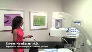 Fertility Physician Dallas Texas | Call (469) 888-8553 Station Image