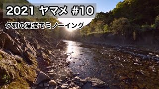 2021 ヤマメ ＃10（夕刻の渓流でミノーイング）