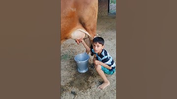 Thumbnail of choti choti gaiya tytyt hgyft #love #song #funny